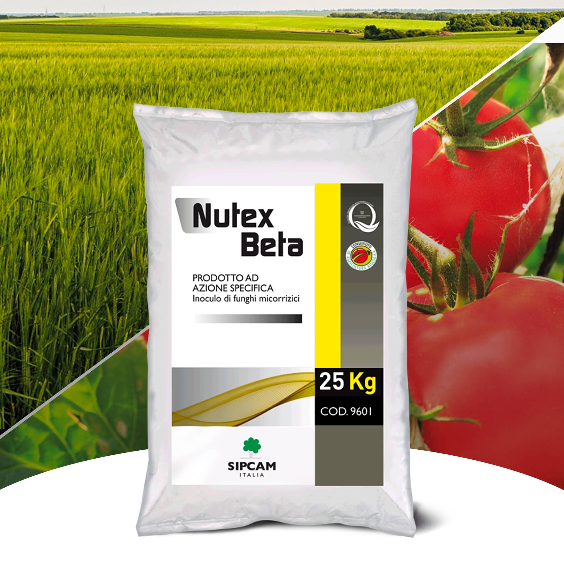 Nutex Beta: la marcia in più per cereali e orticole